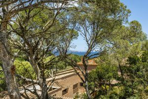 Jardins de Sa Riera, en medio de la naturaleza