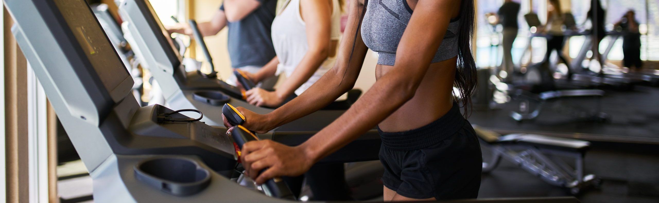 rutina de gimnasio durante todo el año
